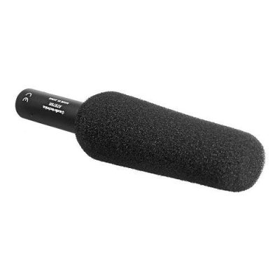 Audio-technica AT875R