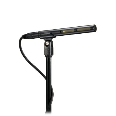 Audio-Technica AT875R Line + Gradient Condenser Microphone