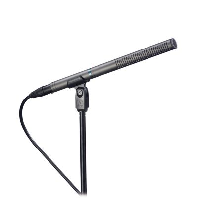 Audio-Technica AT897 Line + Gradient Condenser Microphone