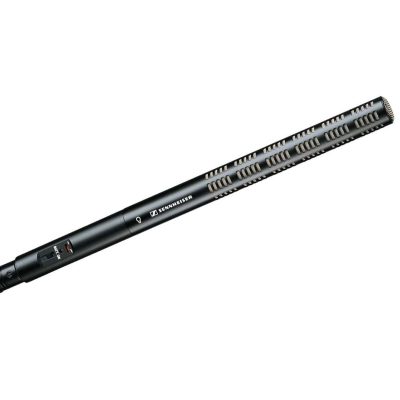 Sennheiser ME 66 Super-cardioid shotgun microphone head