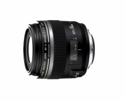 Canon EF-S60mm f/2.8 Macro Lens With Ring USM Motor