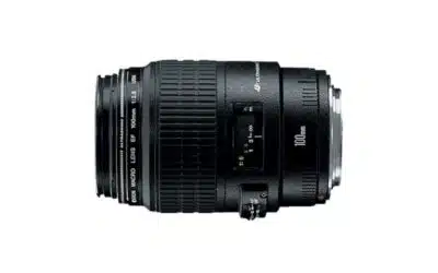 Canon EF100mm f/2.8 Macro Lens With Ring USM Motor