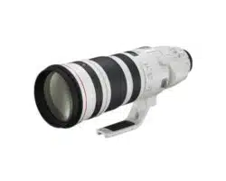 Canon EF200-400mm f/4L IS USM with built-in 1.4x extender