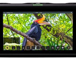 Atomos SHINOBI