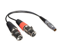 Atomos ATOMCAB017 XLR Breakout Cable
