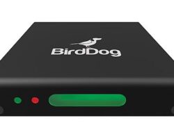 BirdDog Mini HDMI