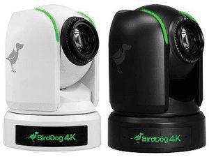 BirdDog P4K Full NDI PTZ Camera