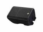 Yamaha CBR12 Loudspeaker