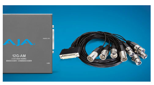 AJA 12G-AM -Supplied Breakout Cable