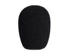 Audio Technica BPHS2C